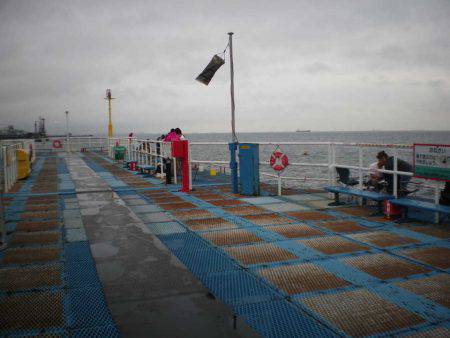 オリジナルメーカー海づり公園(市原市海づり施設) 釣果
