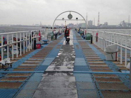 オリジナルメーカー海づり公園(市原市海づり施設) 釣果