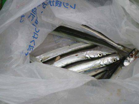 オリジナルメーカー海づり公園(市原市海づり…