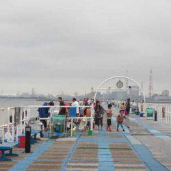 オリジナルメーカー海づり公園(市原市海づり施設) 釣果