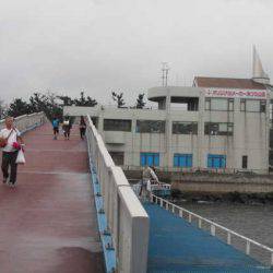 オリジナルメーカー海づり公園(市原市海づり施設) 釣果