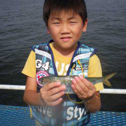 オリジナルメーカー海づり公園(市原市海づり施設) 釣果