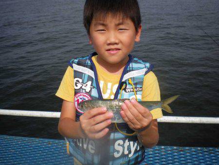 オリジナルメーカー海づり公園(市原市海づり施設) 釣果