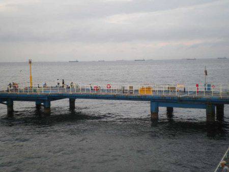 オリジナルメーカー海づり公園(市原市海づり施設) 釣果