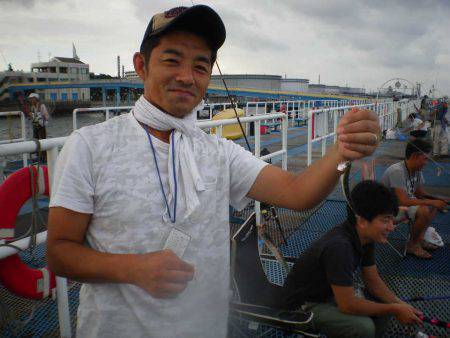 オリジナルメーカー海づり公園(市原市海づり施設) 釣果
