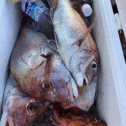 遊漁船高橋 釣果