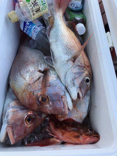 遊漁船高橋 釣果