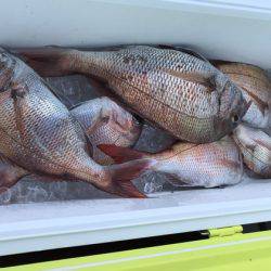 遊漁船高橋 釣果