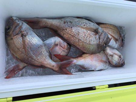 遊漁船高橋 釣果