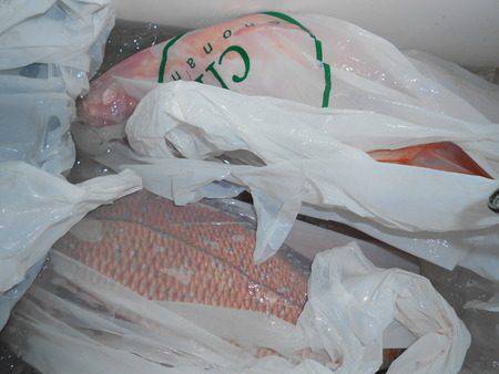 こうゆう丸 釣果