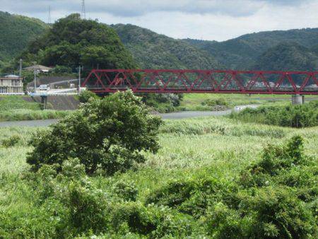 狩野川(狩野川漁業協同組合) 釣果