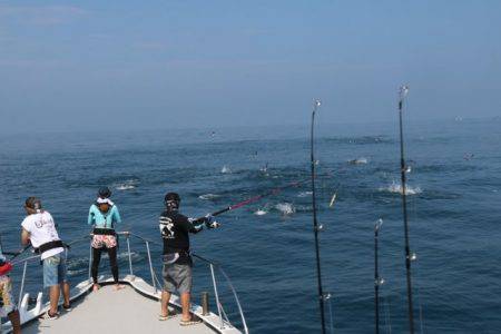 へいみつ丸 釣果