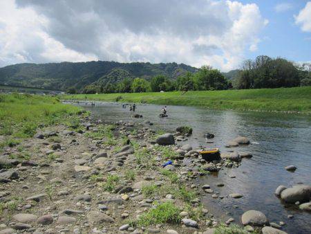 狩野川(狩野川漁業協同組合) 釣果