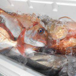 こうゆう丸 釣果