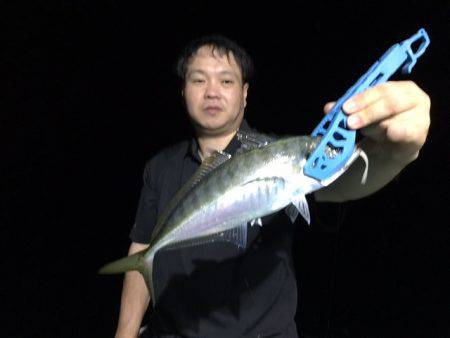 三吉丸 釣果
