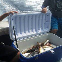 第五慶門丸 釣果