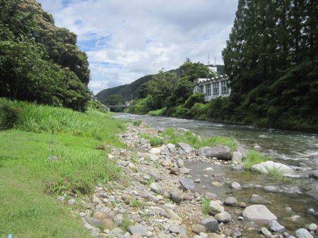 狩野川(狩野川漁業協同組合) 釣果