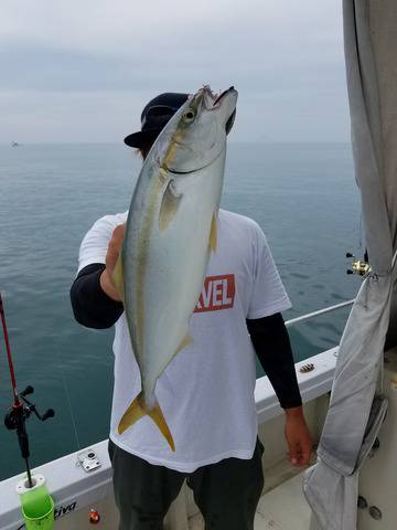遊漁船　ニライカナイ 釣果