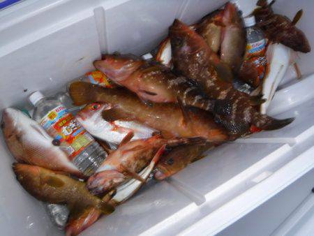 BlueNote Fishing Taxi 釣果