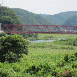 狩野川(狩野川漁業協同組合) 釣果
