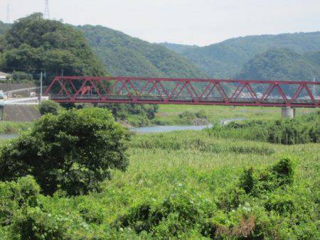 狩野川(狩野川漁業協同組合) 釣果