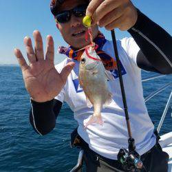 遊漁船　ニライカナイ 釣果