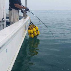 第五慶門丸 釣果