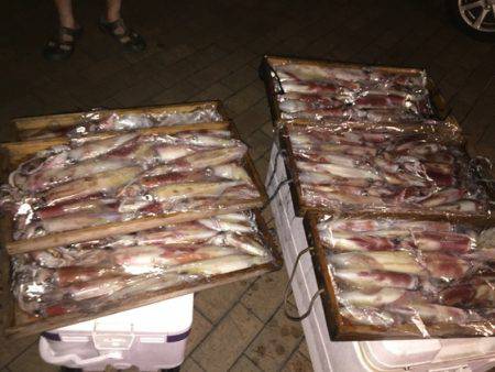 幸風（さちかぜ） 釣果