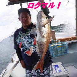 遊漁船 幸友丸 釣果