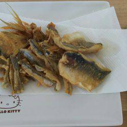 久々に竿を！帰省帰りに