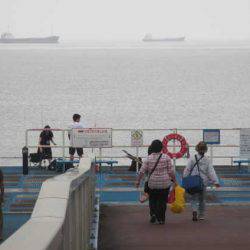 オリジナルメーカー海づり公園(市原市海づり施設) 釣果