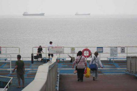 オリジナルメーカー海づり公園(市原市海づり施設) 釣果