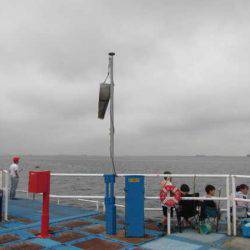 オリジナルメーカー海づり公園(市原市海づり施設) 釣果