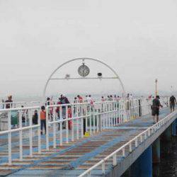 オリジナルメーカー海づり公園(市原市海づり施設) 釣果