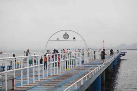 オリジナルメーカー海づり公園(市原市海づり施設) 釣果