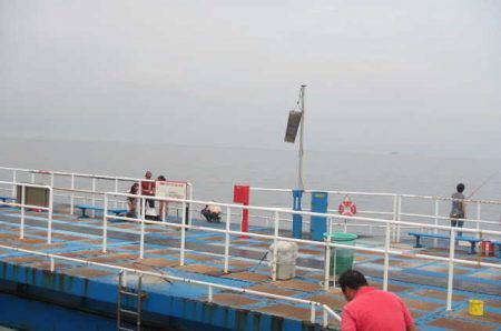 オリジナルメーカー海づり公園(市原市海づり施設) 釣果