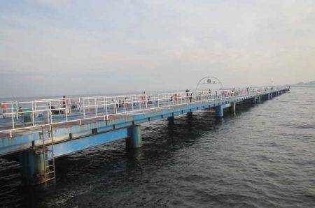 オリジナルメーカー海づり公園(市原市海づり施設) 釣果