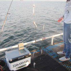 オリジナルメーカー海づり公園(市原市海づり施設) 釣果