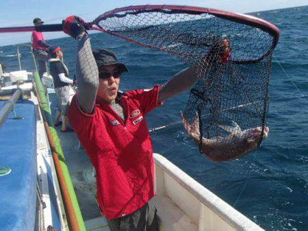 清和丸 釣果