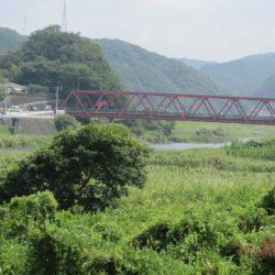 狩野川(狩野川漁業協同組合) 釣果