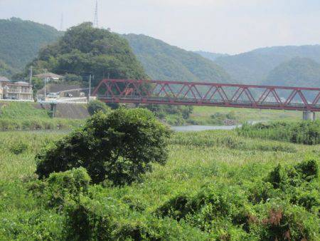 狩野川(狩野川漁業協同組合) 釣果