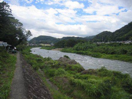 狩野川(狩野川漁業協同組合) 釣果