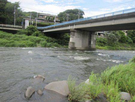 狩野川(狩野川漁業協同組合) 釣果
