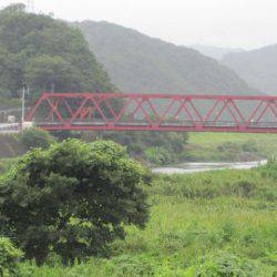 狩野川（狩野川漁業協同組合） 釣果