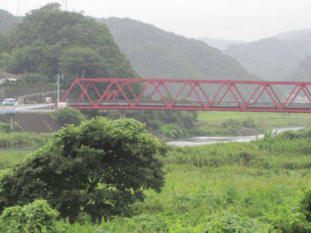 狩野川（狩野川漁業協同組合） 釣果