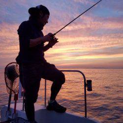 Magic（マジック） 釣果