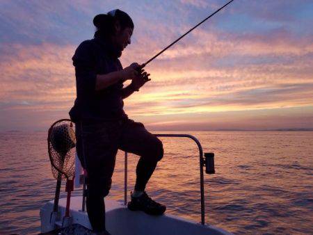 Magic（マジック） 釣果