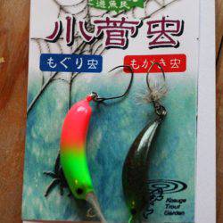 小菅トラウトガーデン 釣果