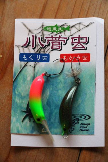 小菅トラウトガーデン 釣果