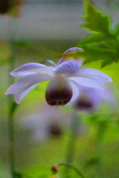 小菅トラウトガーデン 釣果